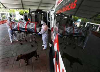 Mexico - coronavirus - covid19 - 06012020