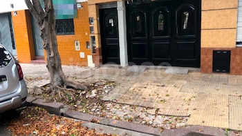 Una jubilada cayó en una vereda con baldosas rotas por las raíces de un árbol: la Justicia definió quién deberá indemnizarla