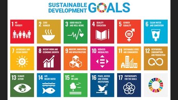 Los 17 Objetivos de Desarrollo