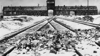 El Holocausto, el triángulo rosa