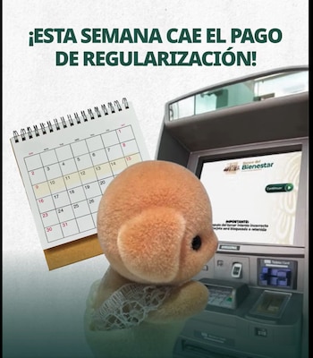 Como todos los meses, el próximo pago de Jóvenes Construyendo el Futuro está programado para el 28 de abril de 2026 (X@JovConFuturo)