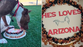 La celebración de Arizona no