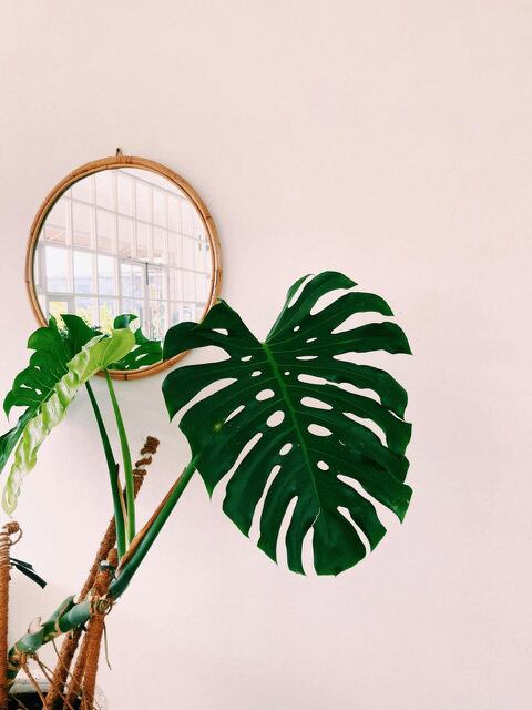 Emplear espejos cerca de ventanas amplifica la luz y reduce el estrés diario