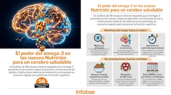 Ilustración de un cerebro humano luminoso rodeado de nueces y estructuras moleculares, con una infografía sobre los beneficios del omega-3.