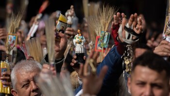 Los olios de Thiene muestran