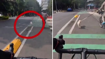 Ciclista desata polémica en CDMX por llevar a su perro atado y hacerlo correr por una ciclovía