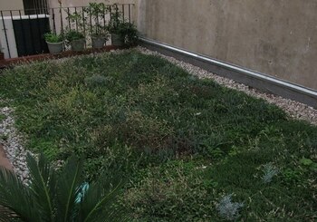 Destacados por disminuir la polución