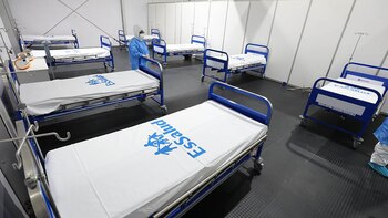 Tres semanas tardará como máximo