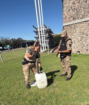 El operativo de rescate incluyó