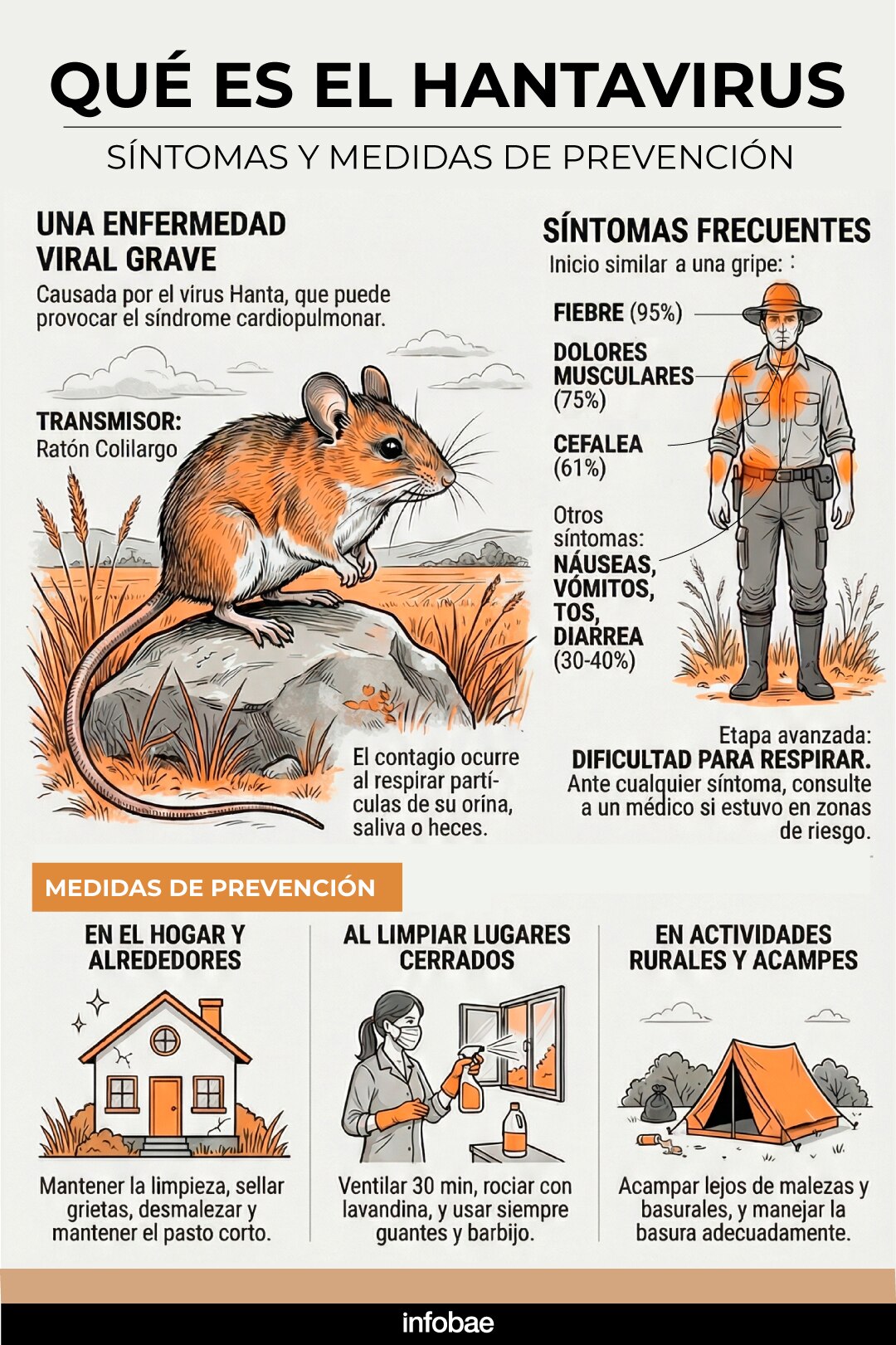 Brote de Hantavirus en Crucero Desata Alerta Sanitaria Internacional — image 5