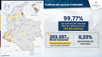 El Gobierno sostuvo que el 99,77% del territorio colombiano está libre de cultivos de coca y que el 0,23% afectado equivale a 253.357 hectáreas - crédito @mindefensa / X