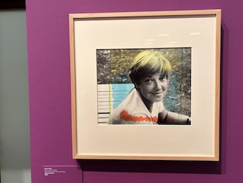 Imagen N566EJNLAZBJLJ22R4TWUFGCIQ