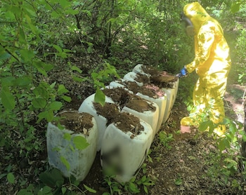 Tres laboratorios clandestinos de metanfetamina fueron desmantelados en Cosalá, Sinaloa, durante un operativo coordinado por autoridades federales el 13 de julio de 2026. Crédito: Especial