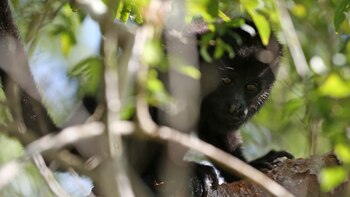 Se extiende la emergencia: mueren