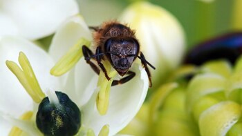 Ein 72-jähriger Mann starb in