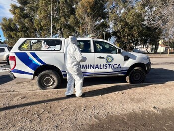 Los investigadores plantearon que el