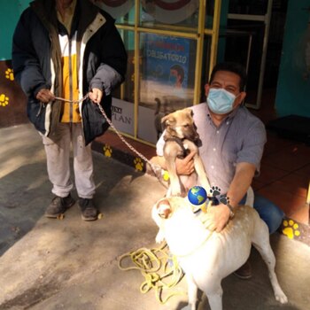 El hombre tuvo quemaduras leves