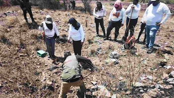 Colectivos de búsqueda de Sinaloa declinan reunión con la gobernadora interina Graciela Domínguez y exigen renuncia de dos funcionarias