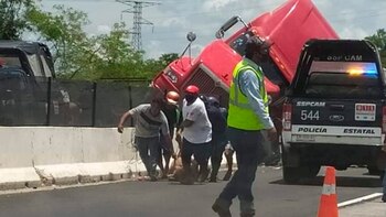 Ciudadanos maltrataron a los animales