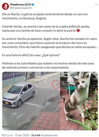 Plataforma Alto insiste en que