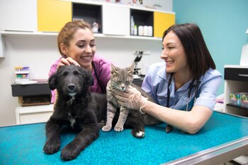 La castración de estos animales