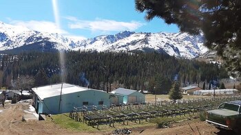 Huinganco Museo del Árbol y de la Madera