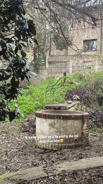 Aljibe de piedra y ladrillo con estructura de hierro forjado, rodeado de arbustos, pasto y hojas secas. Al fondo hay una construcción de ladrillos