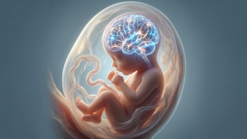 Un estudio reveló que el pensamiento humano podría comenzar a gestarse antes del nacimiento