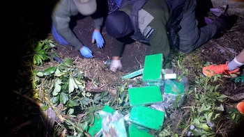 Gendarmería halló casi 60 kilos de cocaína enterrada en el patio de una casa de Santa Fe