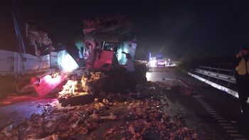 Uno de los camiones transportaba