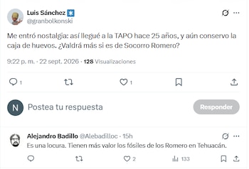 Captura de pantalla con un mensaje del usuario Gothic Kitty dirigido a la cuenta de la institución Carrillo Gil