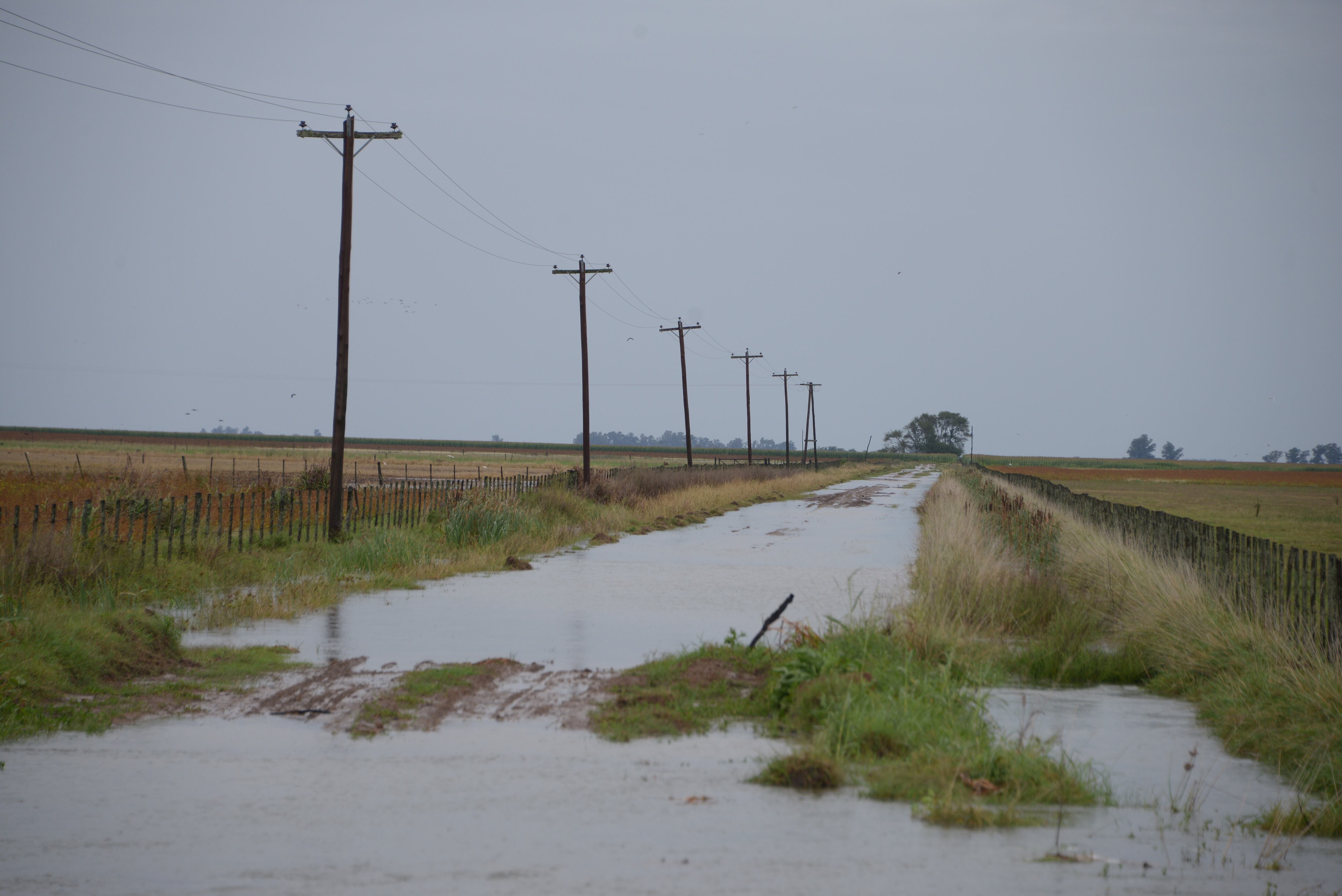 Las inundaciones en los campos bonaerenses afectarán a la producción para el año que viene