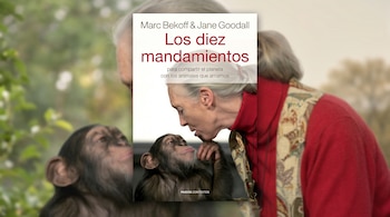 Portada de un libro con Jane Goodall y un chimpancé, titulada Los diez mandamientos, ubicada sobre un fondo extendido y desenfocado.