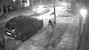 Ni armas ni violencia: el