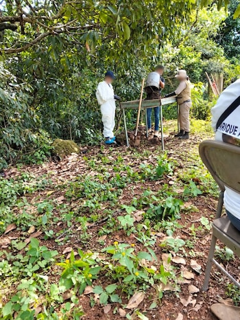 Campo de exterminio en Nayarit