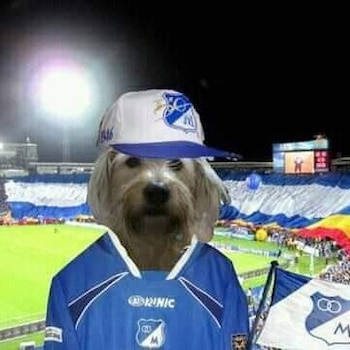 Los mejores memes que dejó