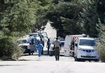 El rescate masivo en Lake Hughes resultó en la liberación de cerca de 250 perros y 66 gatos en condiciones insalubres, según autoridades del condado de Los Ángeles (Los Angeles Times)