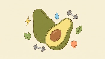 Consumir palta a diario podría aportar beneficios en el bienestar digestivo, cardiovascular y emocional
