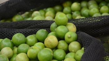 Agricultores peruanos denuncian que ingreso