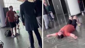 Una aerolínea perdió cuatro perros