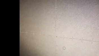 Pantalla gris de sensor infrarrojo con una retícula de líneas blancas, un punto oscuro central y un círculo gris. Una barra negra vertical en el lado izquierdo