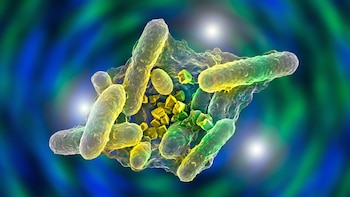 Descubren bacterias en una mina alemana que pueden inmovilizar uranio en el agua
