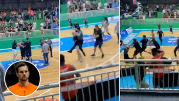 La salvaje agresión de un