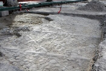 El INAH se ha encargado