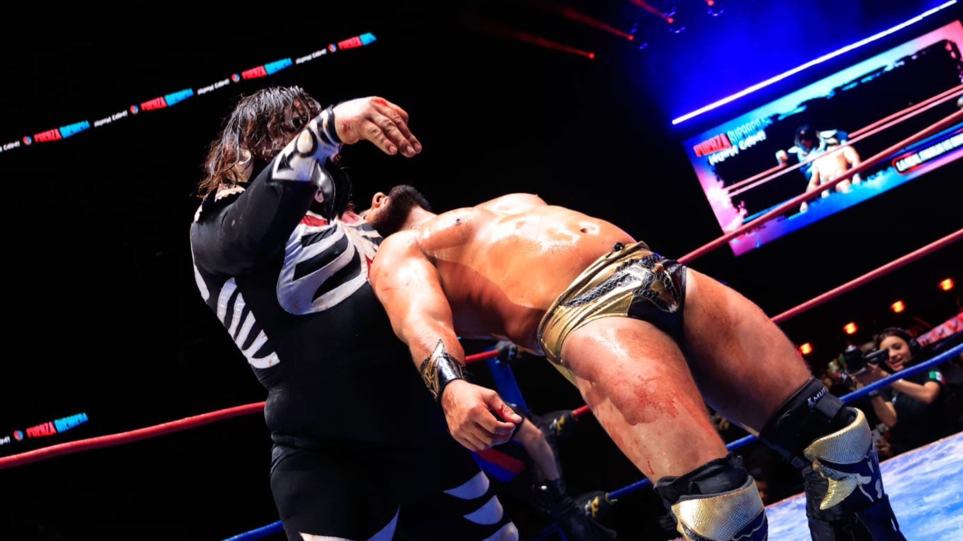 (Cortesía: Prensa Fuerza Guerrera)