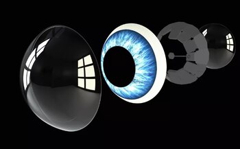 Además de ser de utilidad