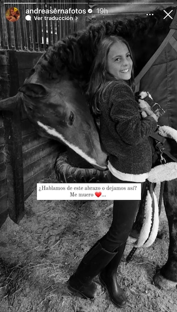 Un caballo le dio un