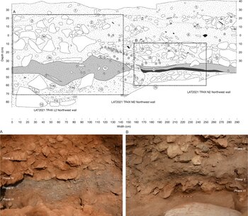 Restos de carbón y madera
