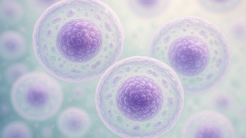 Un avance en células madre permite crear insulina personalizada para el tratamiento de la diabetes tipo 1