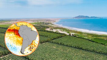 De aquí a 2050, las